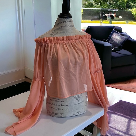 Feel beautiful in this romantic ruffled semi-sheer and feminine peach blouse - Picture 13 of 16